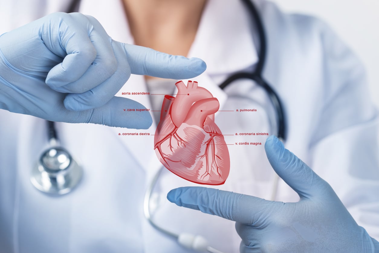 cardiology